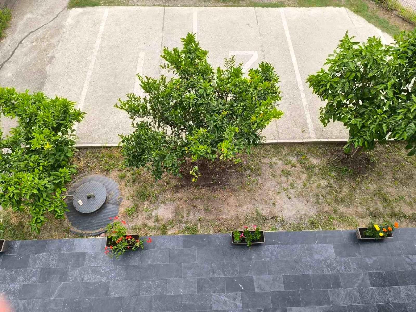 Adriatic Oasis Apartment บาร์ ภายนอก รูปภาพ